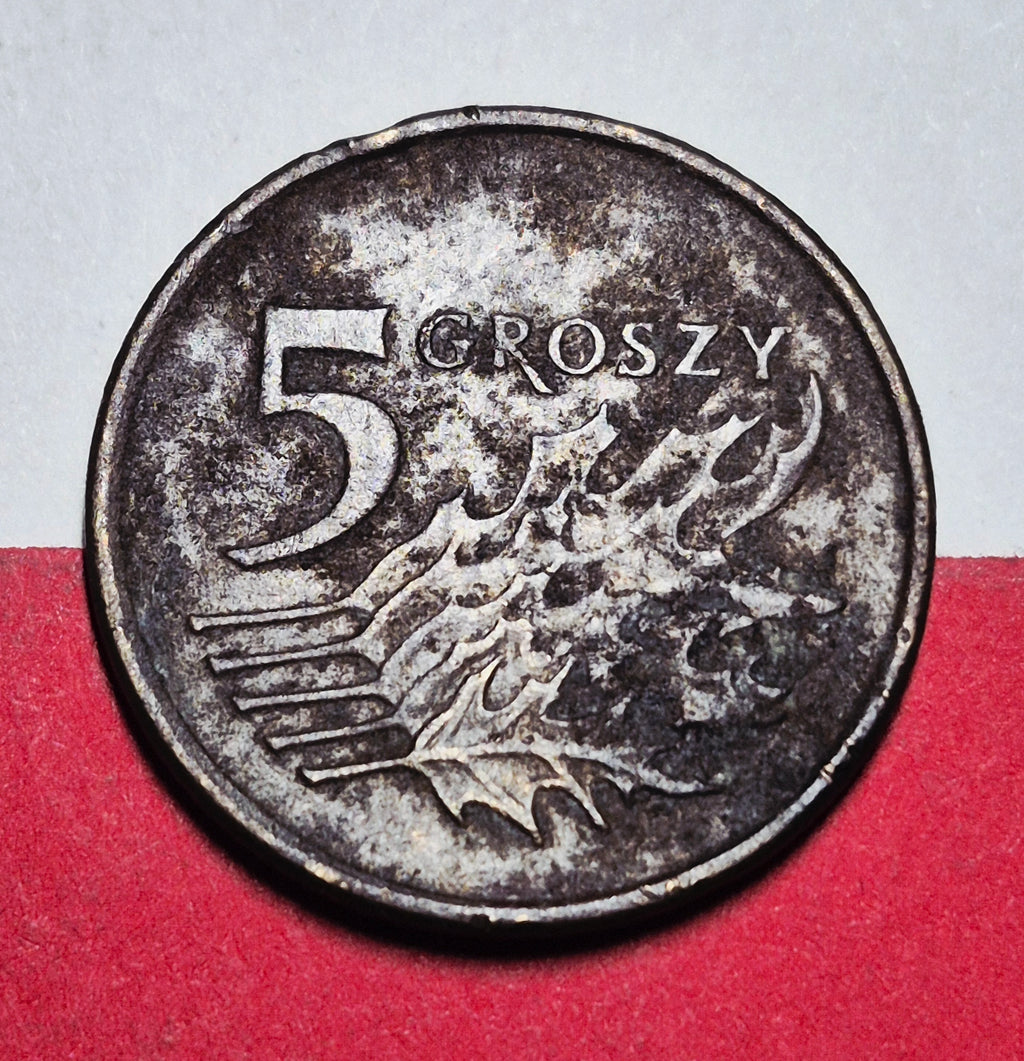 1998 Poland 5 Groszy — Third Republic / White Eagle With Crown — Oak Leaves — Fine