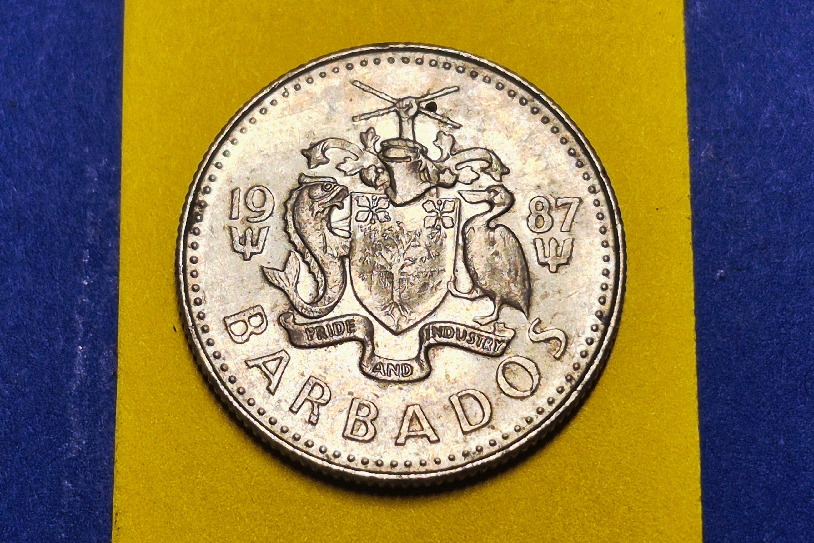 1987 Barbados 10 Cents — National Arms / Laughing Gull — Philip Nathan Design — VF+ to EF