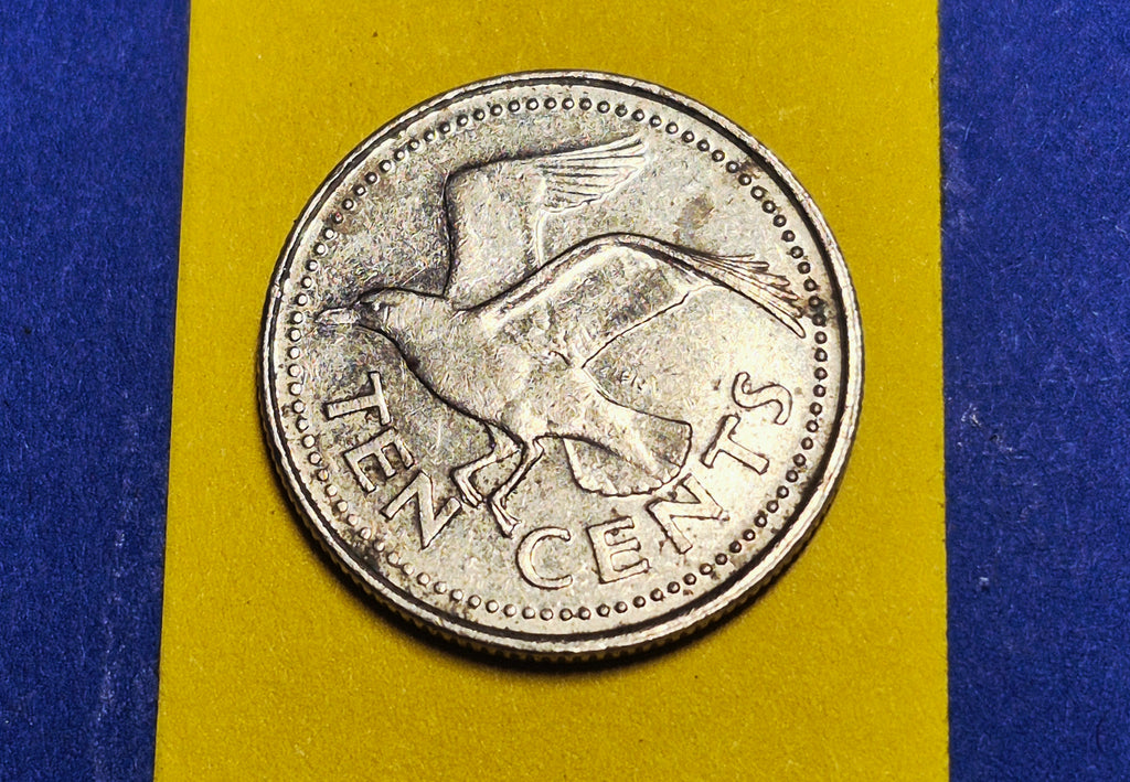 2001 Barbados 10 Cents — National Arms / Laughing Gull — Copper-Nickel — F+ to VF