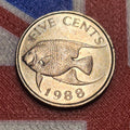 1988 Bermuda 5 Cents — Elizabeth II / Queen Angelfish — Copper-Nickel — VF+ to EF