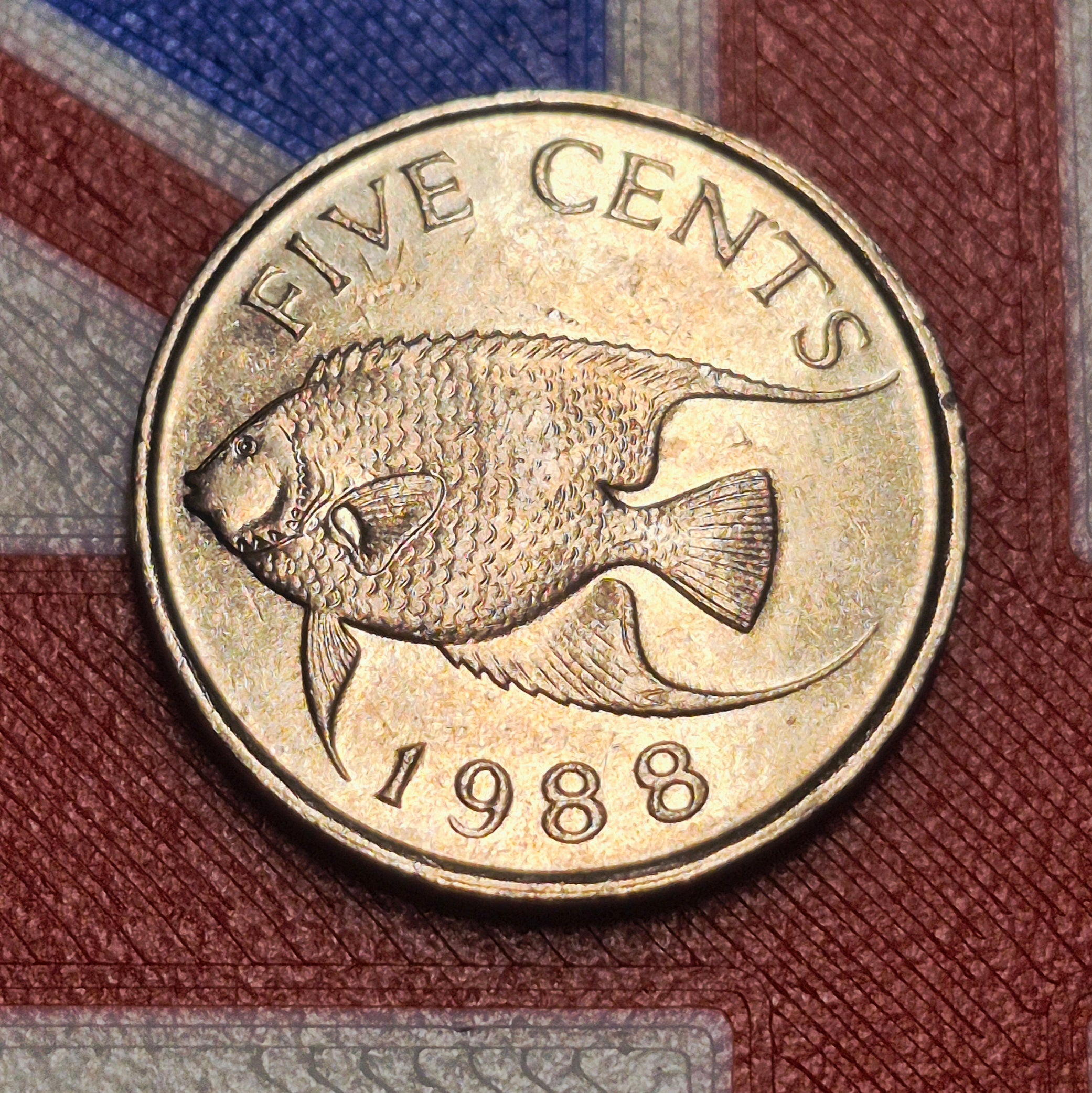 1988 Bermuda 5 Cents — Elizabeth II / Queen Angelfish — Copper-Nickel — VF+ to EF