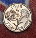 1988 Bermuda 10 Cents — Elizabeth II / Bermuda Lily — Copper-Nickel — VF to EF